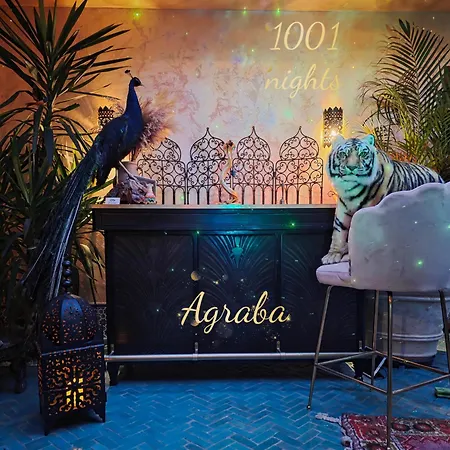 Riad Agraba, 1001 Nights-3